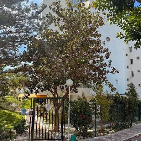 Casa La Luna- Beachfront 1br With Sea Views アパート マルベーリャ